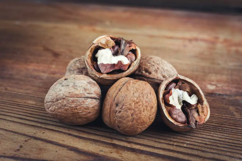 Do Squirrels Eat Peanuts Which Peanuts Are Best for Them