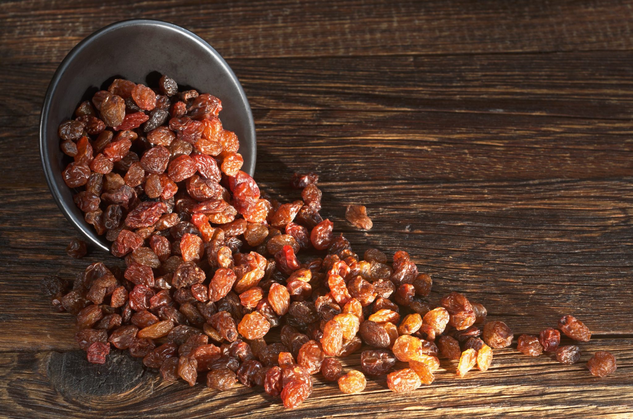 Can Squirrels Eat Raisins Is It Safe for Them?