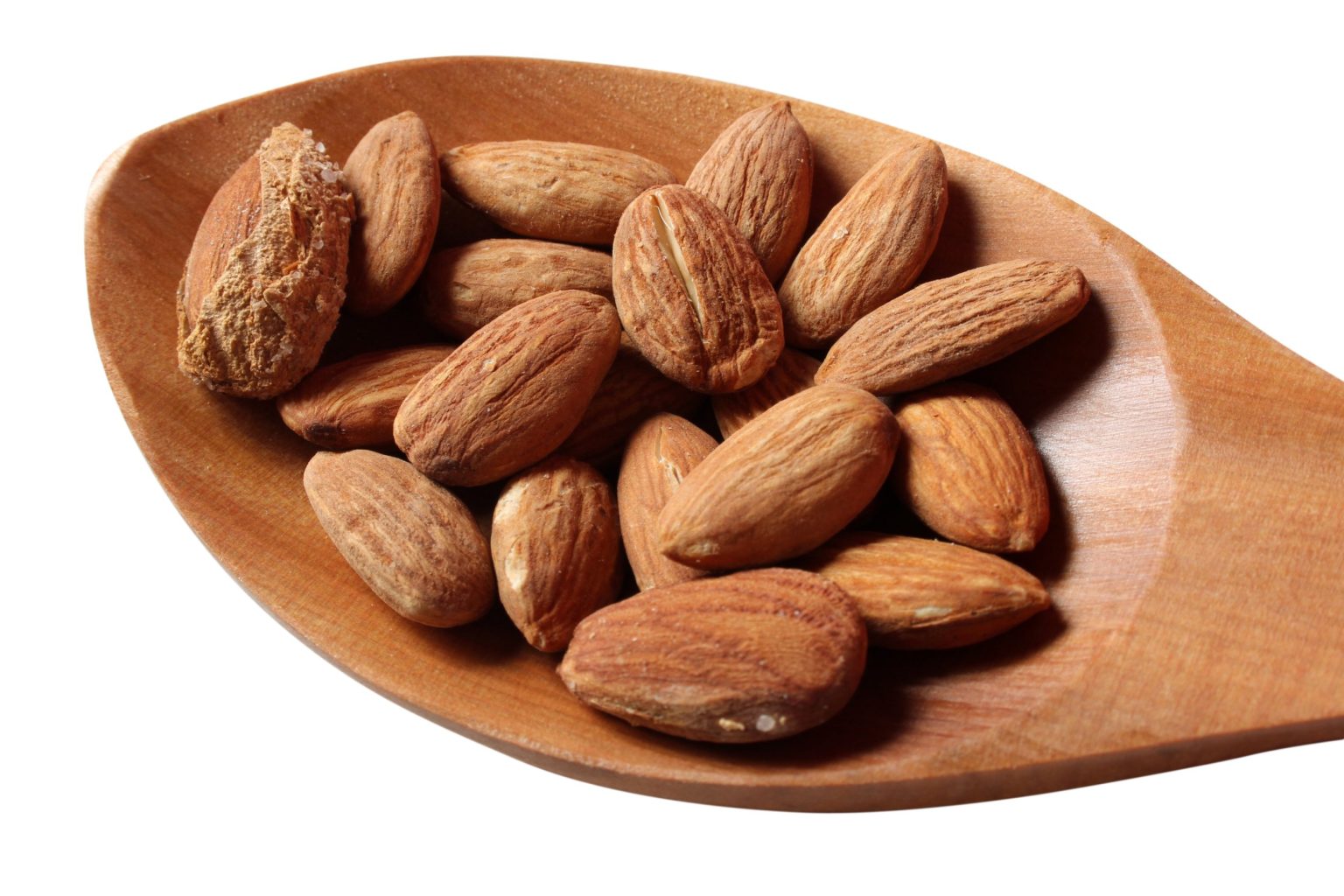 Can Squirrels Eat Almonds A Guide to Safely Feeding Squirrels