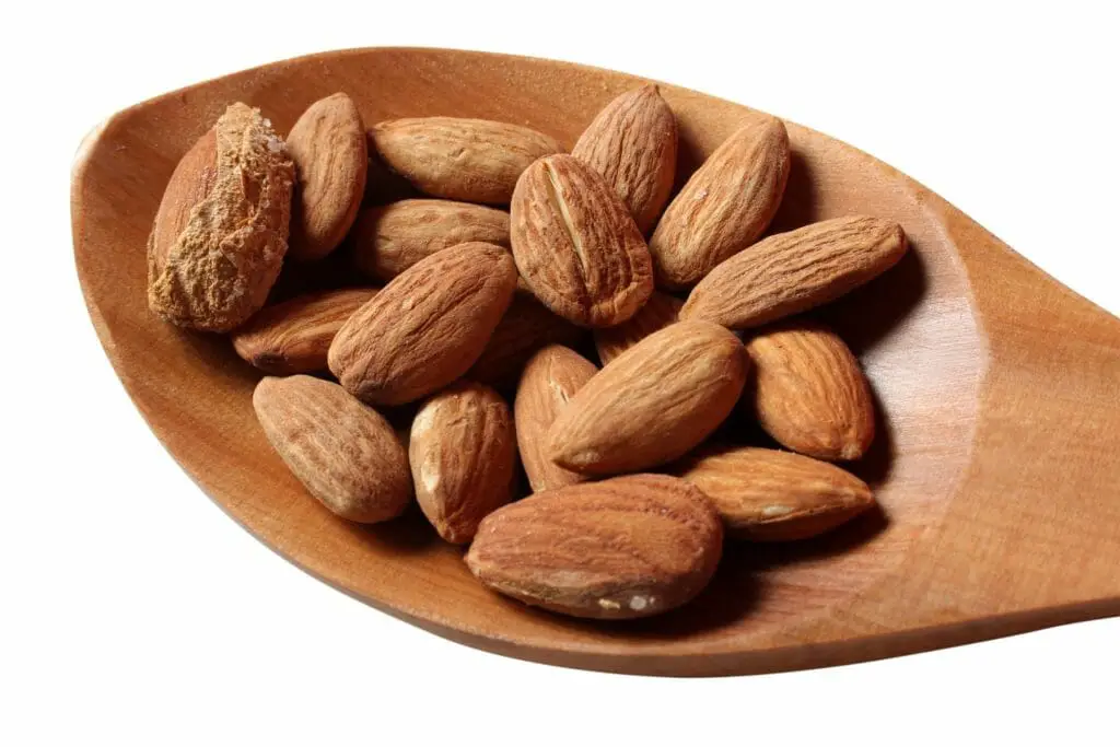 Can Squirrels Eat Almonds A Guide to Safely Feeding Squirrels