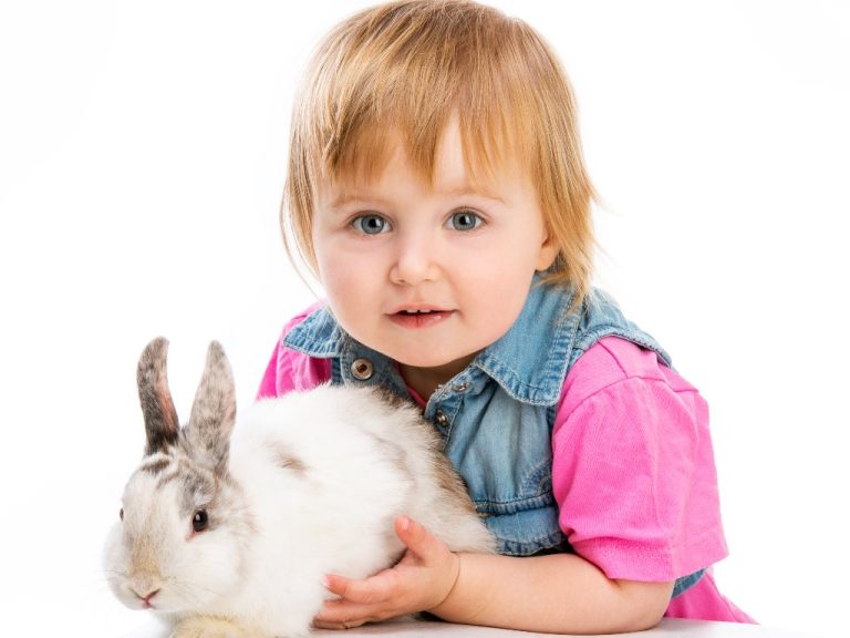 How Are Rabbits as Pets: Pros and Cons of Owning a Rabbit