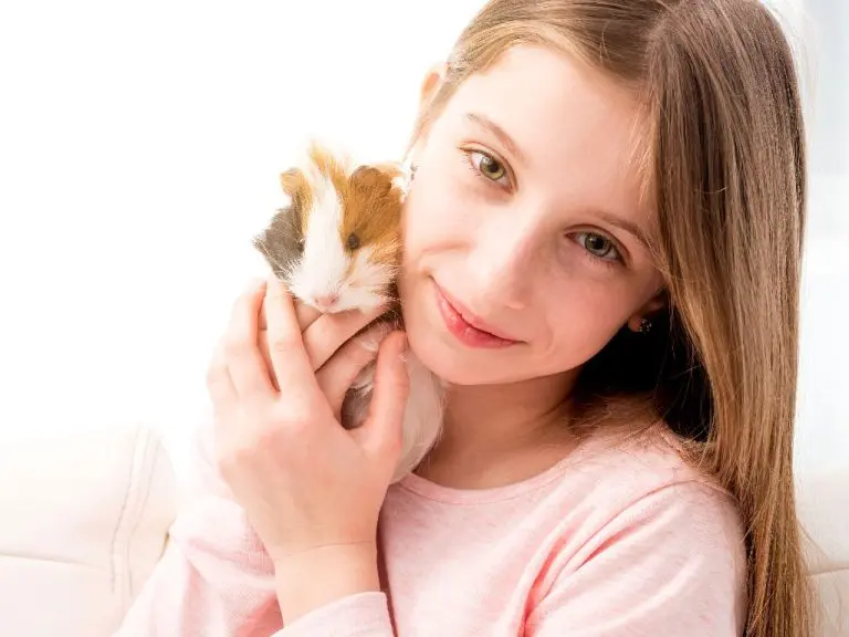 Are Guinea Pigs Friendly: Getting to Know Your Furry Pet