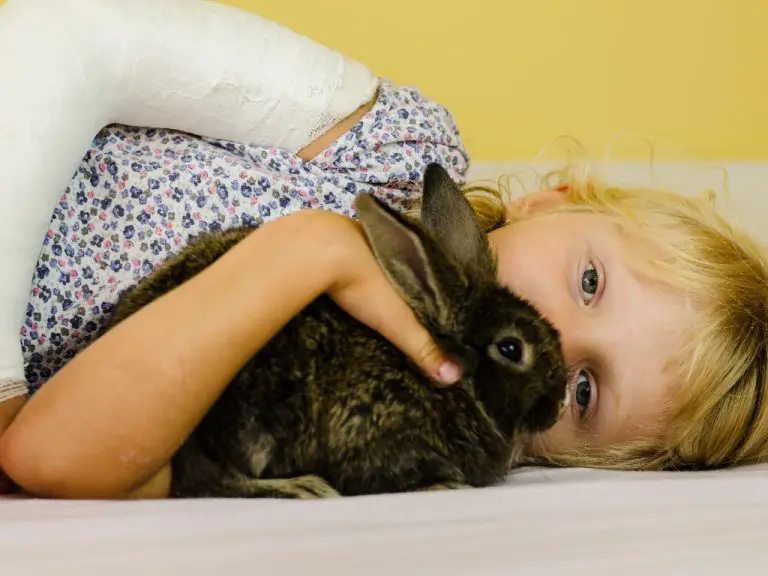 Can Your Rabbit Sleep With You: Sharing Your Bed With a Pet Bunny
