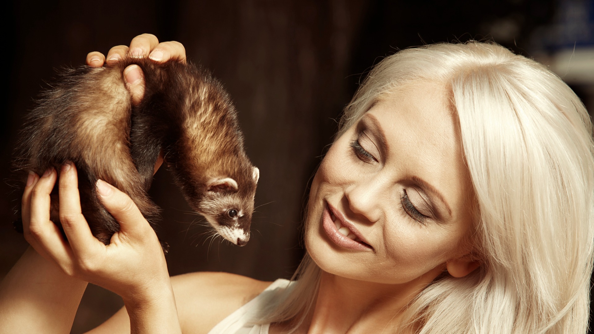How Much Are Ferrets? Average Prices and Costs to Consider ...